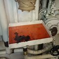 Biocide - Kills Diesel Bug - picture 5