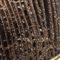 Biocide - Kills Diesel Bug - picture 10