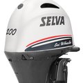 ***NEW STOCK IN JANUARY*** SELVA COMMERCIAL ENGINES THE ONLY REAL OPTION - picture 13