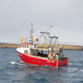 Extra picture for advert 145695