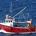 Extra picture for advert 145695