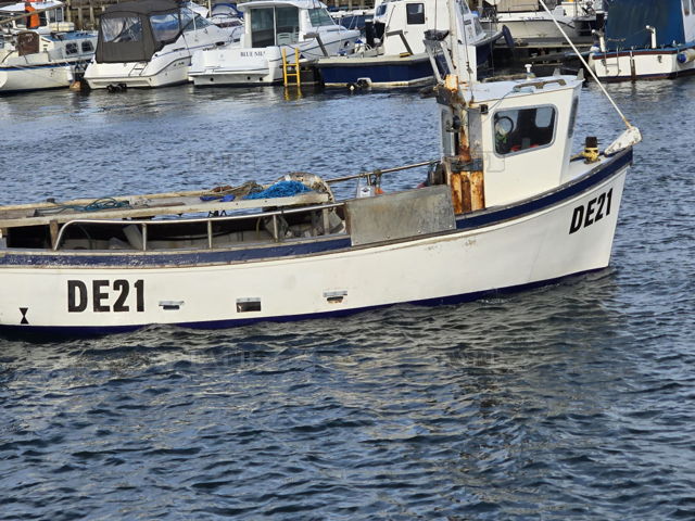 Large picture for advert 143696