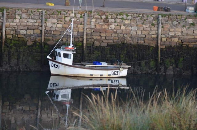 Large picture for advert 143696