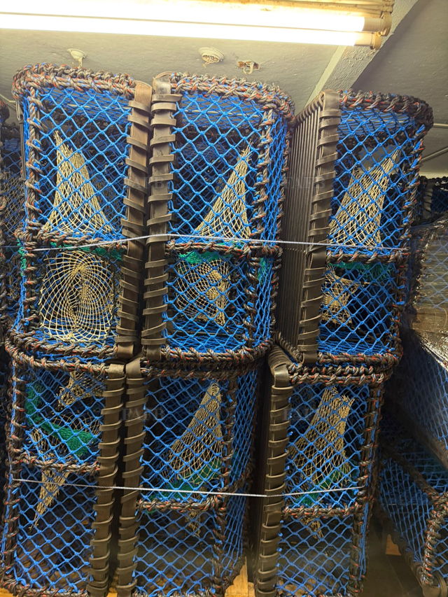 Large picture for advert 144696