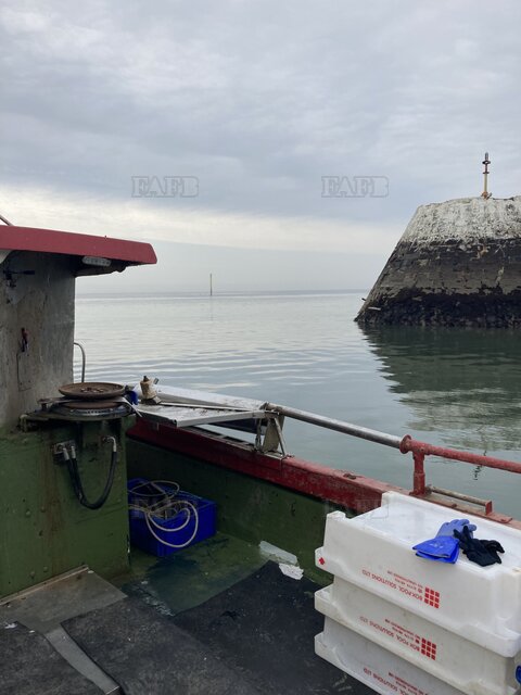 Large picture for advert 128696