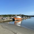 Thumbnail for picture 11