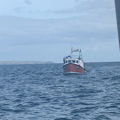 Thumbnail for picture 8