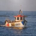 Extra picture for advert 128696