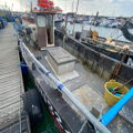 Extra picture for advert 147697