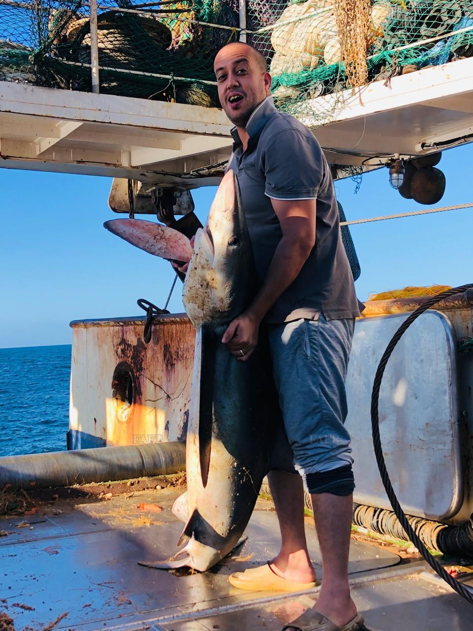 Large picture for advert 144699