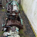 Extra picture for advert 148699
