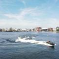 Thumbnail for picture 8