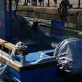 Thumbnail for picture 5