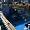 Thumbnail for picture 7