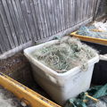 Thumbnail for picture 5