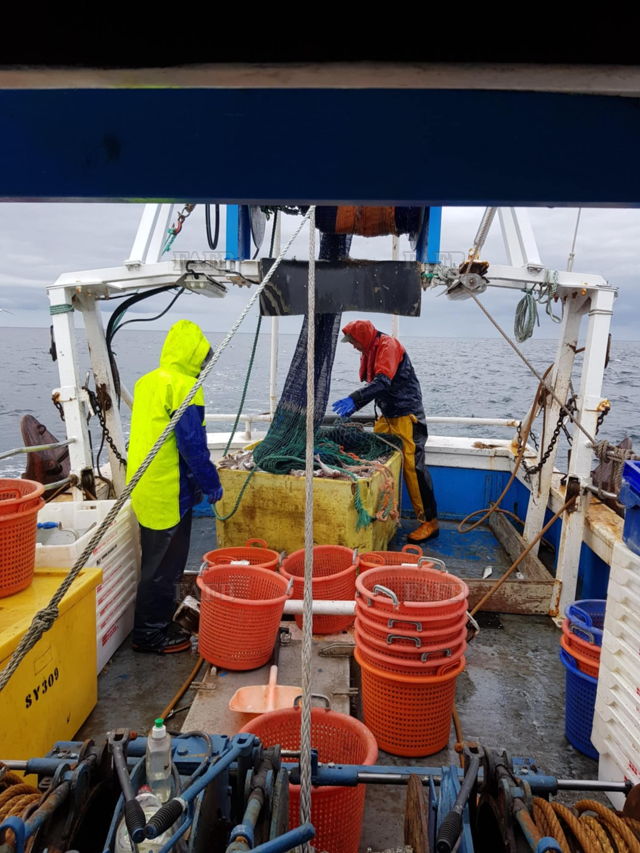 Large picture for advert 137707