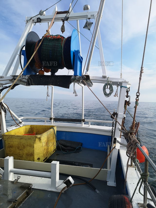 Large picture for advert 137707