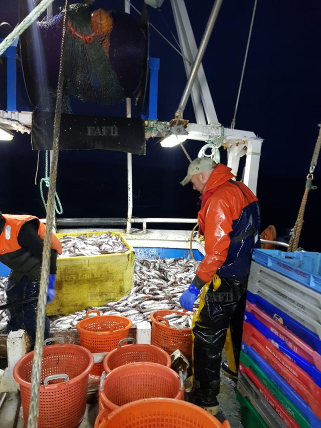 Large picture for advert 137707