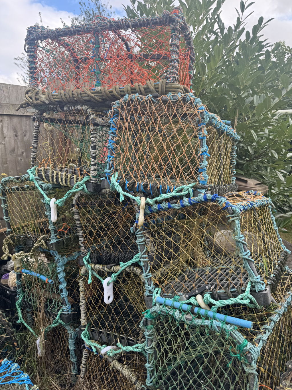 Free postage 1 X Crab Fishing Lobster Pot Single Eye Parlour