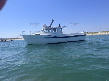 Main picture for advert 147709