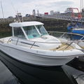 Extra picture for advert 146709