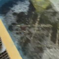 Thumbnail for picture 6