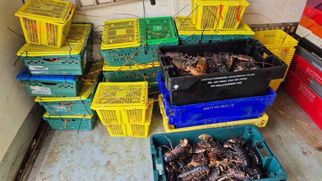 Large picture for advert 144712