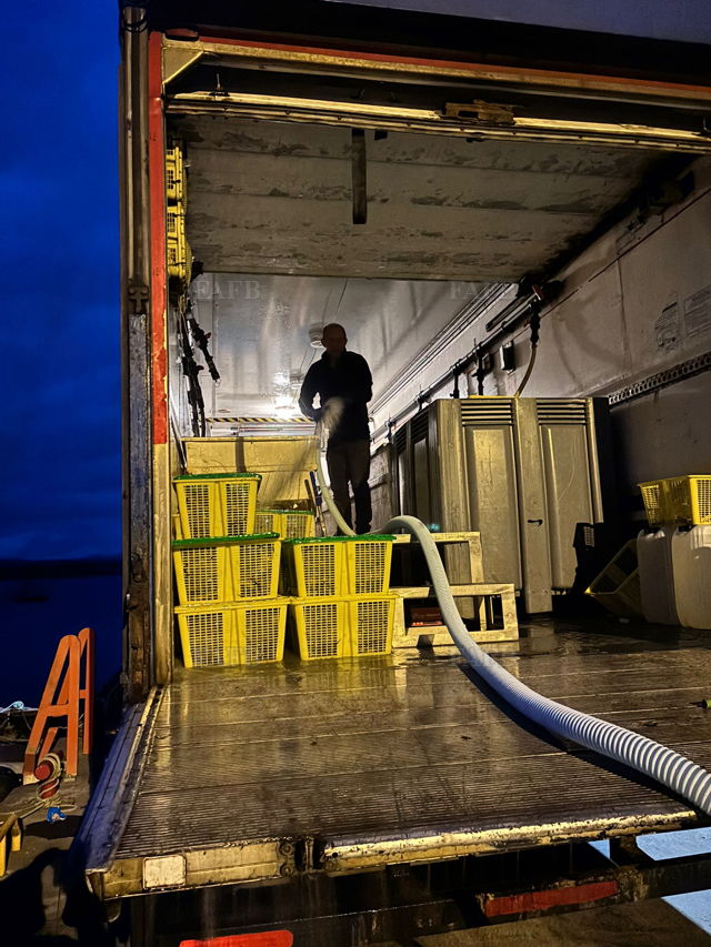 Large picture for advert 144712