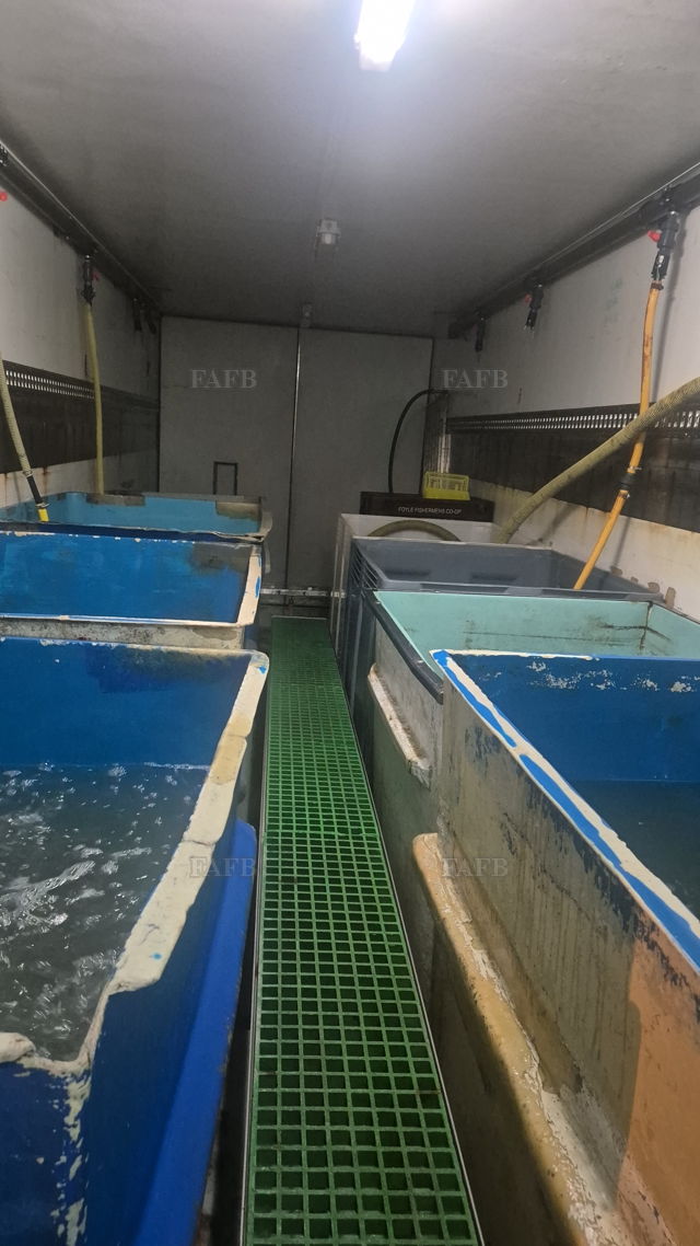 Large picture for advert 144712