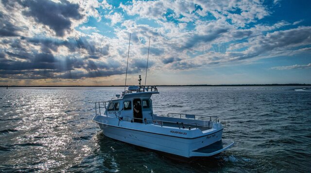 Aquafish 23' - picture 1