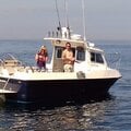 Aquafish 23 (18.5', 28' and 9m cat also available) - picture 29