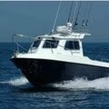 Aquafish 23 (18.5', 28' and 9m cat also available) - picture 20