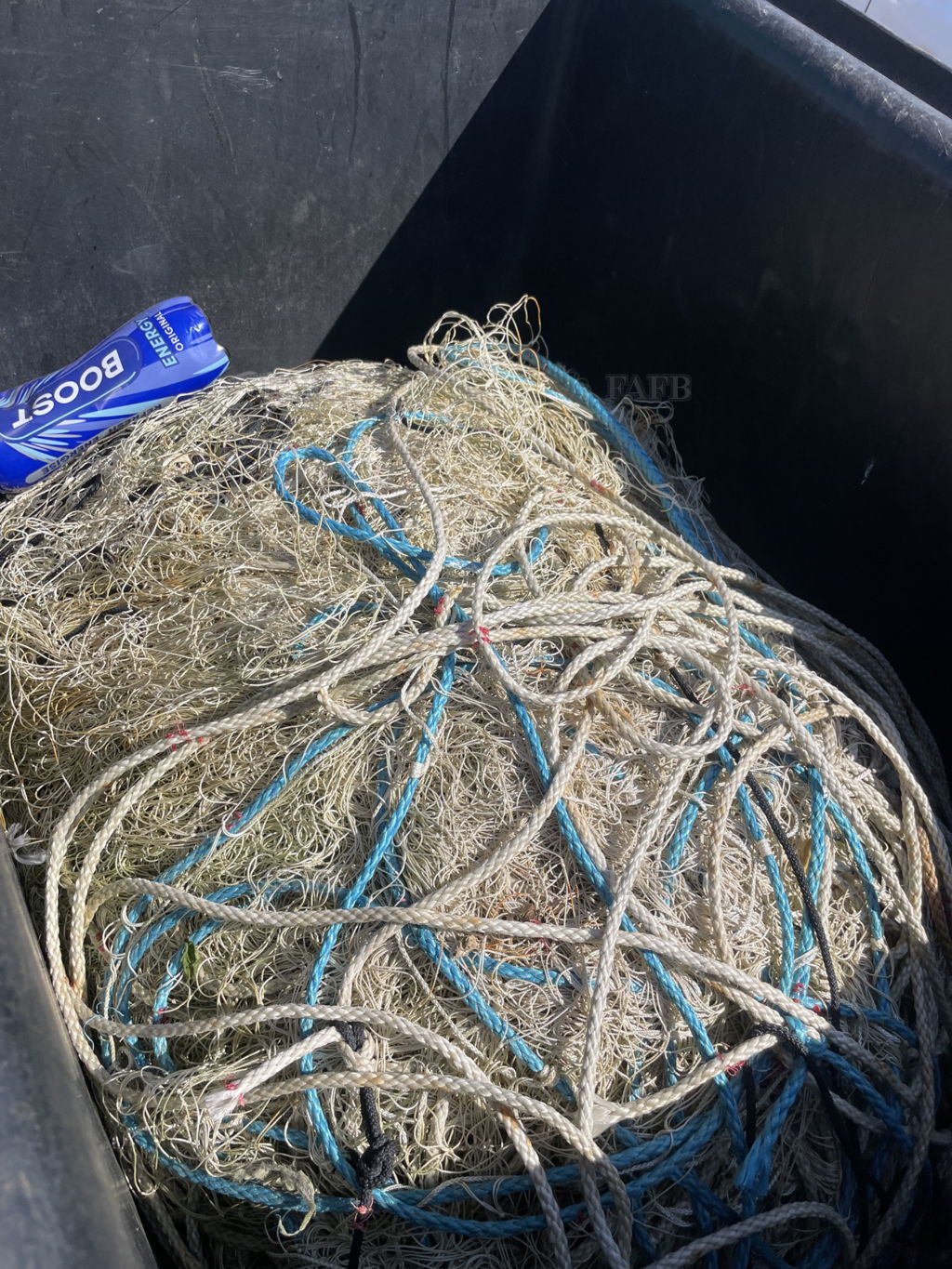 Sole nets .Bass nets