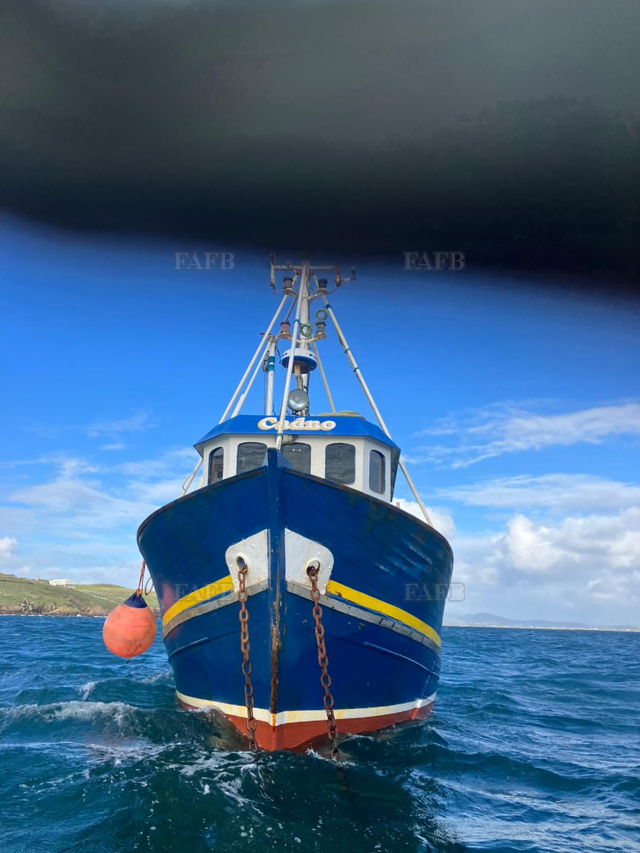 Large picture for advert 141713