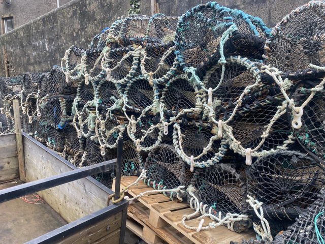 Large picture for advert 144713