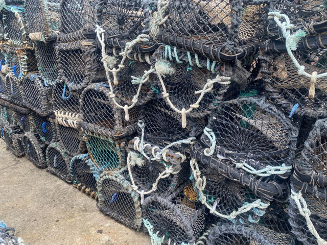 Large picture for advert 144713