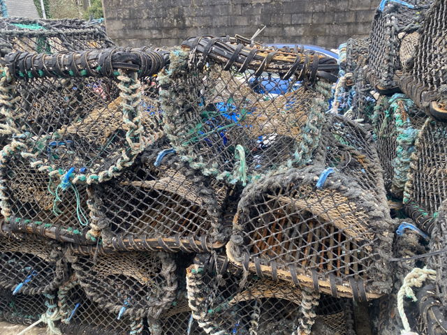 Large picture for advert 144713