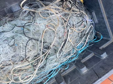 Sole nets .Bass nets . hydraulic motor ,
