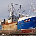Scallop Trawler built by Hinks Appledore Devon - picture 2