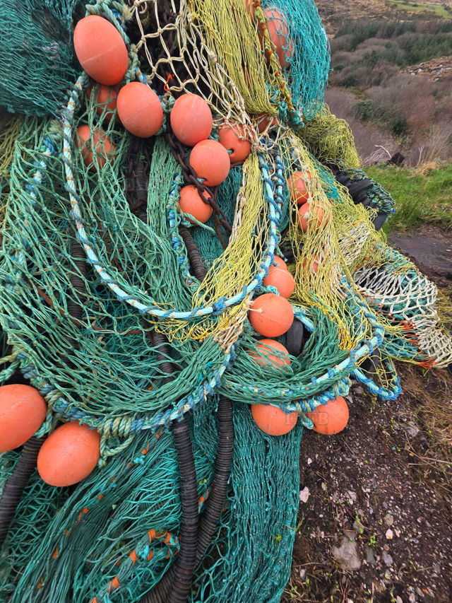 Large picture for advert 144714