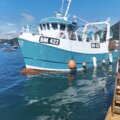 Extra picture for advert 115718
