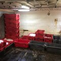 Extra picture for advert 115718