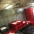 Extra picture for advert 115718