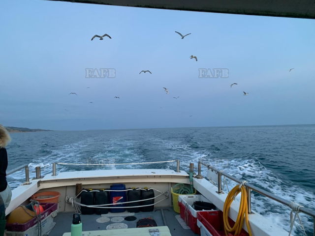 Large picture for advert 148072