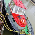 Thumbnail for picture 3