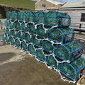 Extra picture for advert 146721