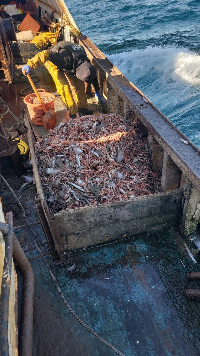 Large picture for advert 141722