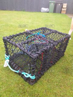 Lobster crab pots - ID:118722