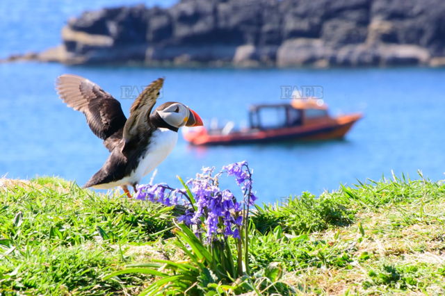 Large picture for advert 141725