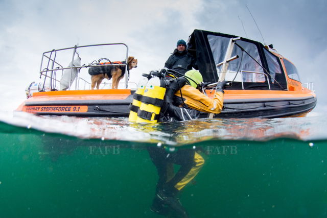 Large picture for advert 141725